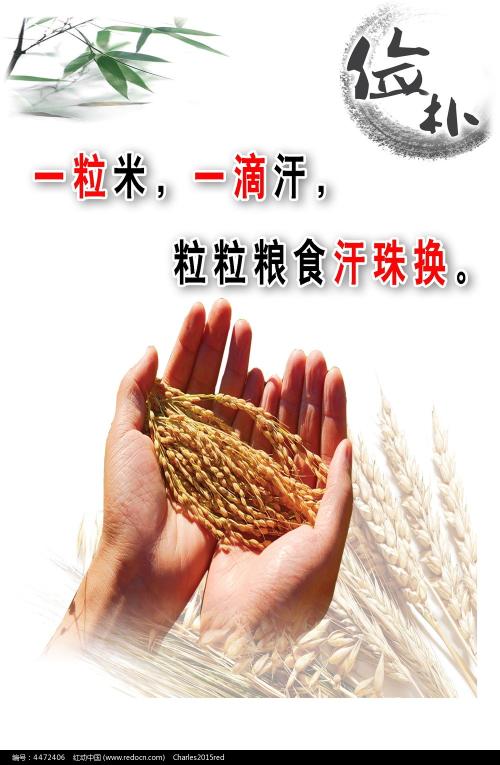 布朗麦凯学院Diploma in Economics